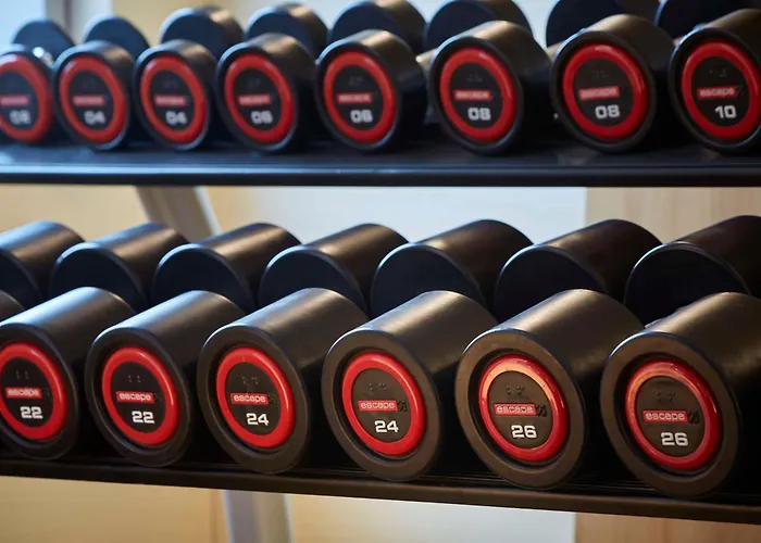 Hilton Garden Frankfurt Airport Fráncfort del Meno