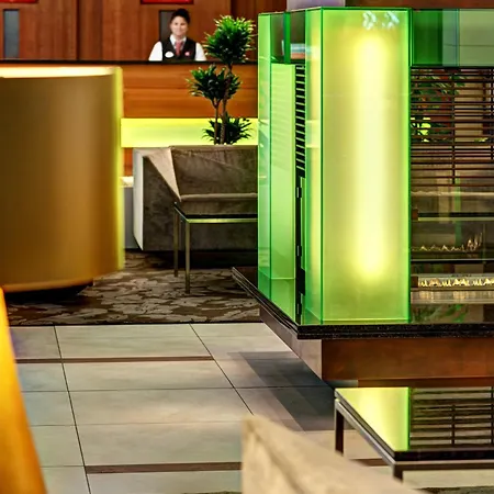 מלון Hilton Garden Frankfurt Airport