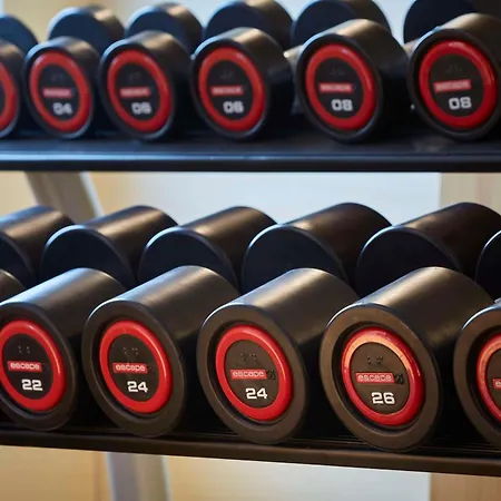 Hilton Garden Frankfurt Airport Frankfurt am Main