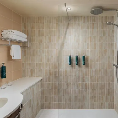 Hilton Garden Frankfurt Airport מלון פרנקפורט